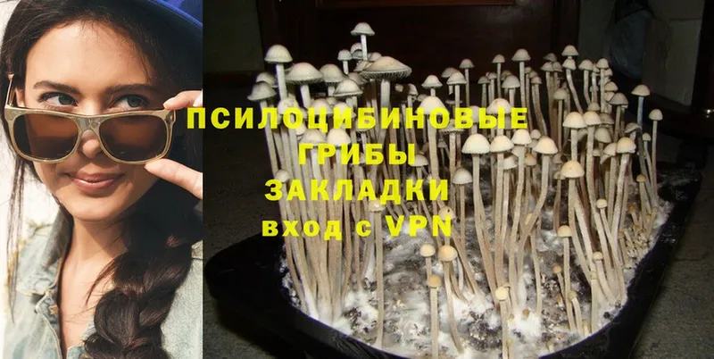 Галлюциногенные грибы MAGIC MUSHROOMS  Нюрба 